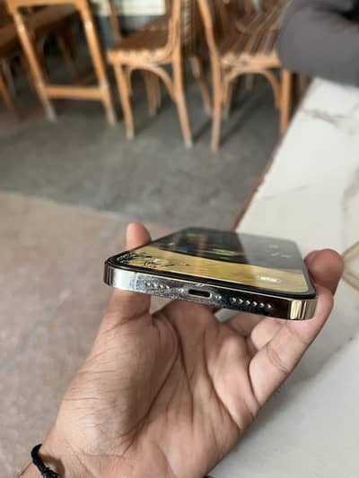 Apple iPhone 12 Pro Max