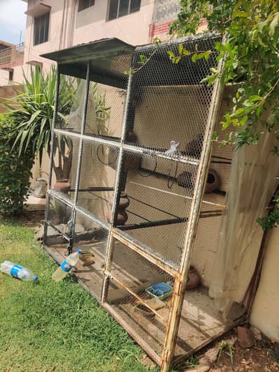 Cage available for sale