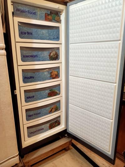 dawance vertical freezer