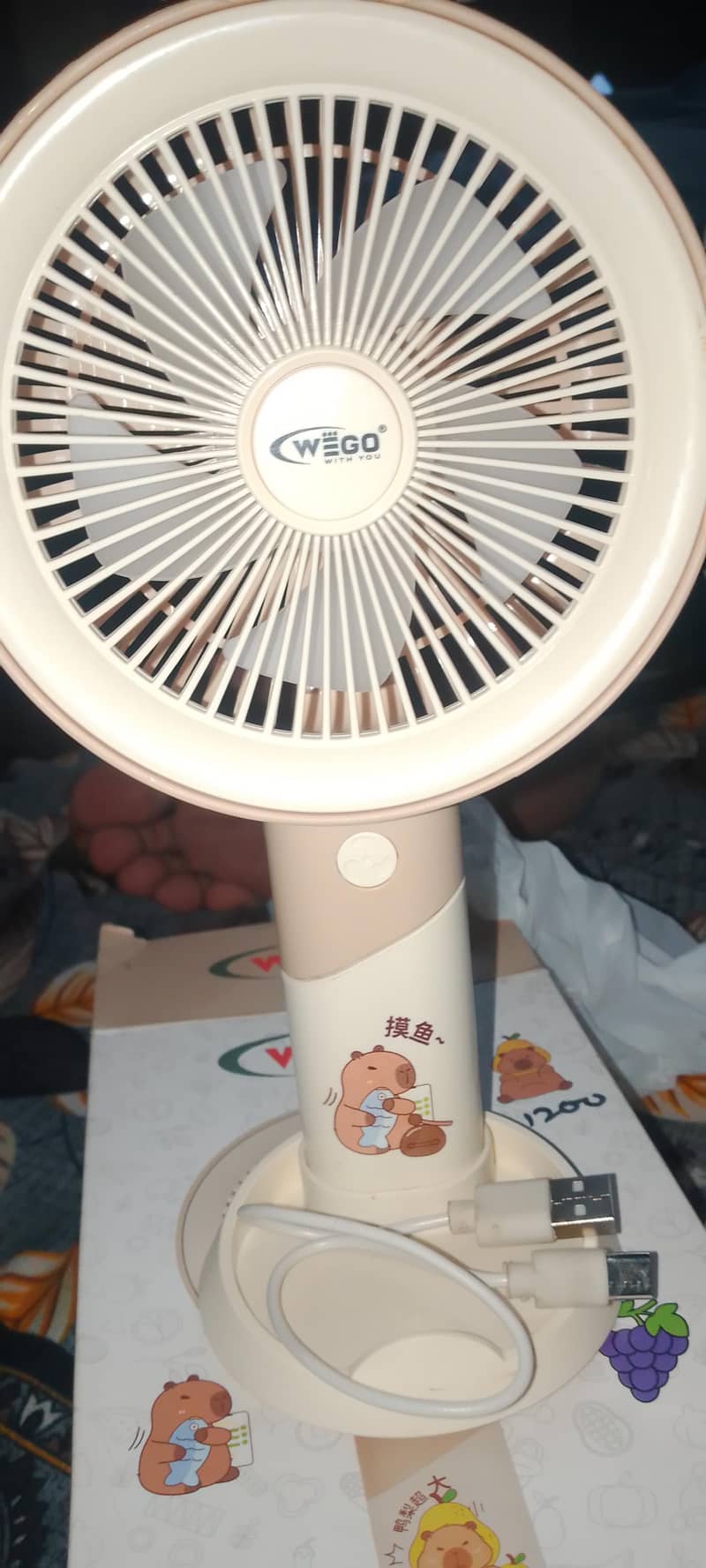 mini fan 4