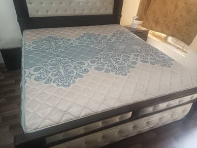 Master Molty Foam 8" with With 5year  Warranty