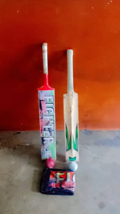 Hard ball bat and Tape ball bat 2 hard balls