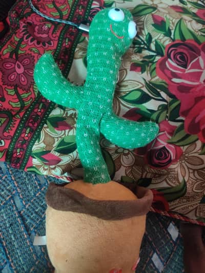 dancing cactus