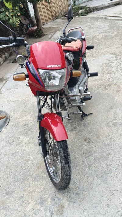 Deluxe bike
