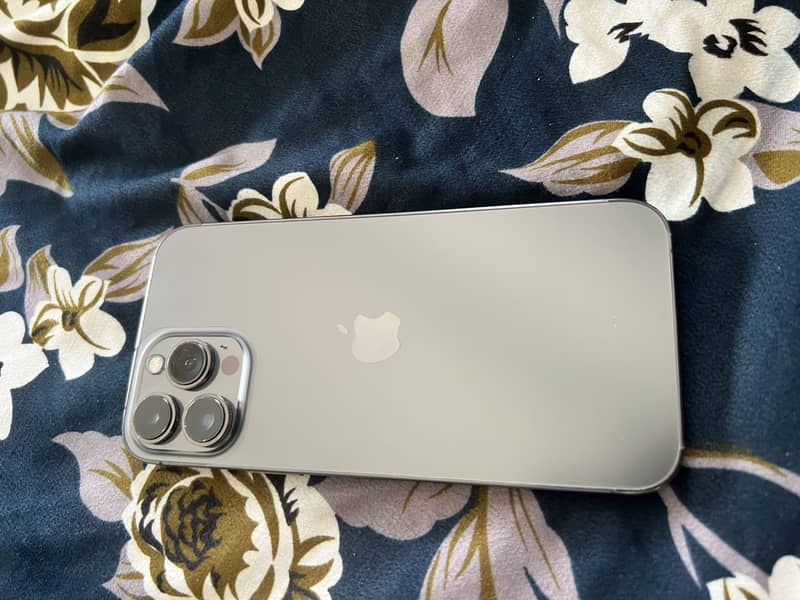 Apple iPhone 13 Pro Max 1