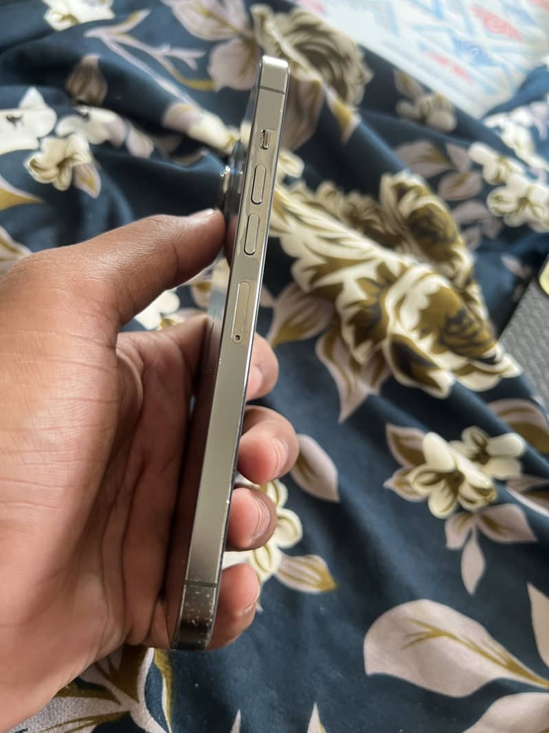 Apple iPhone 13 Pro Max 4