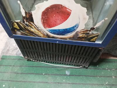 Pepsi chilr