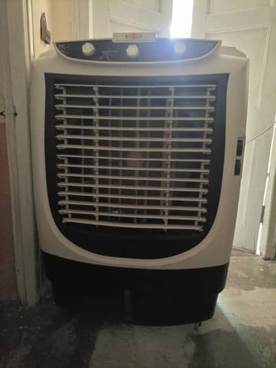 For Sale
