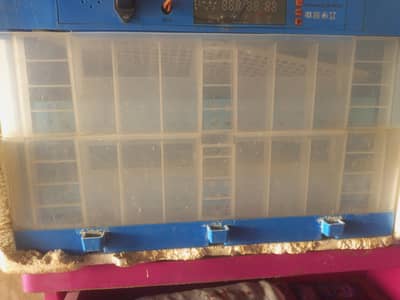 AC DC Eggs Incubator Machine