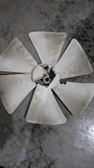 need this fan