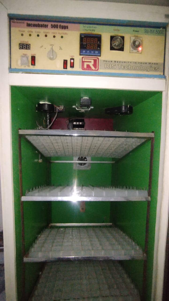 incubator 6