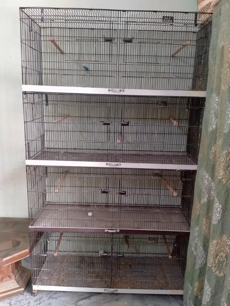 Cage 4 Portion & 8 Partition - Tower Cage 8 Khana - — photo 2