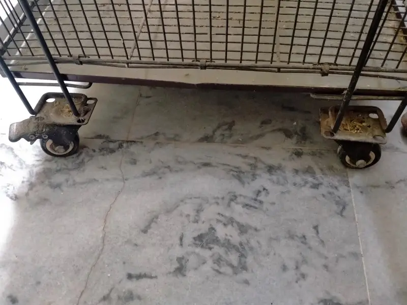 Cage 4 Portion & 8 Partition - Tower Cage 8 Khana - — photo 3
