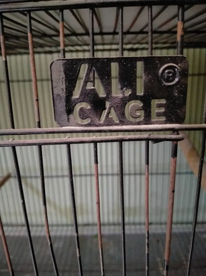 Cage 4 Portion & 8 Partition - Tower Cage 8 Khana - — photo 5