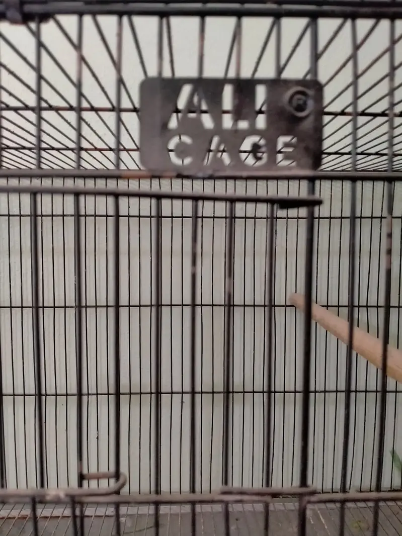Cage 4 Portion & 8 Partition - Tower Cage 8 Khana - — photo 6