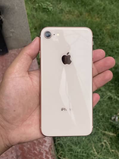 Apple iPhone 8 official pta approved