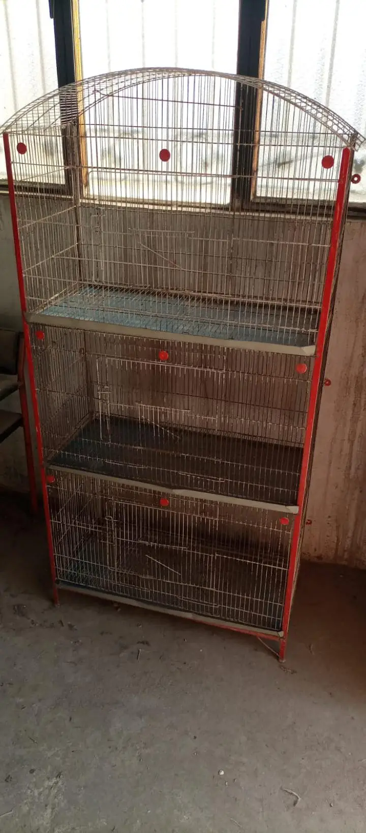 birds cages