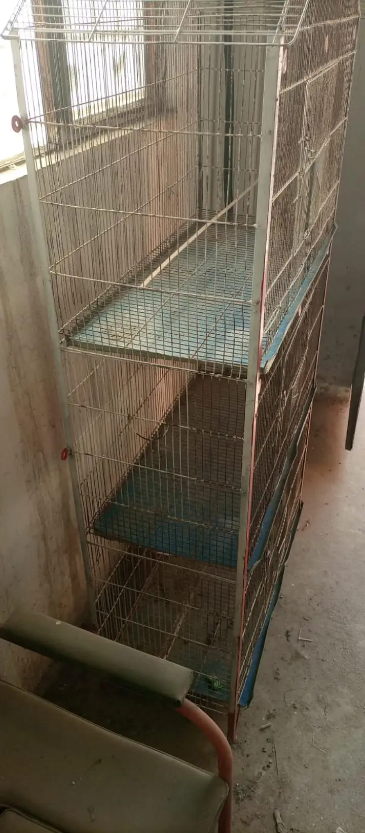 birds cages — photo 2