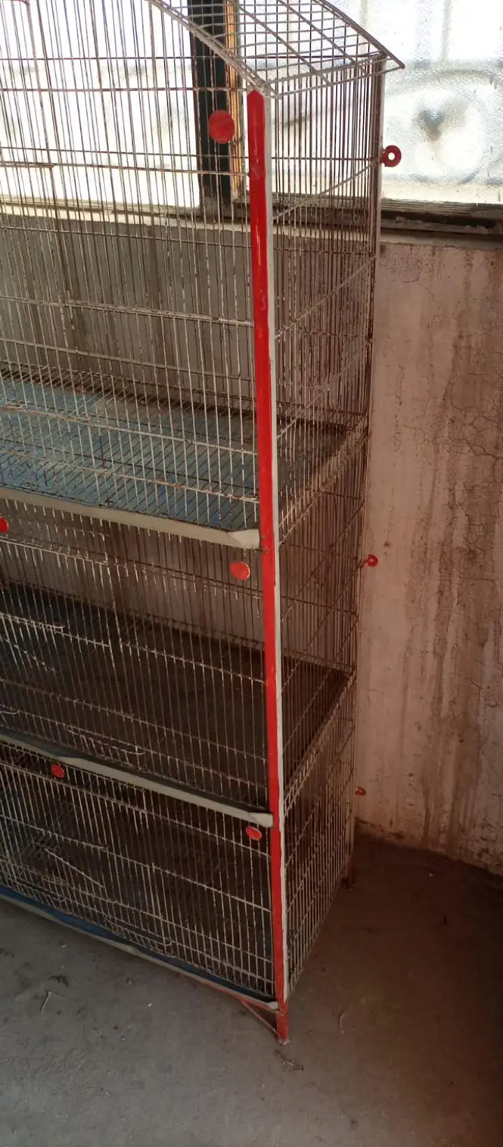 birds cages — photo 3