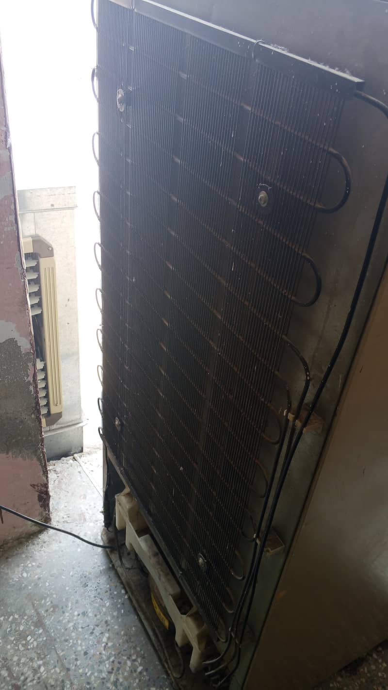 Haier fridge 10