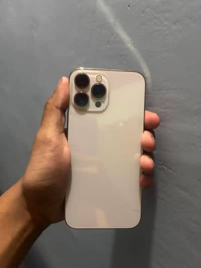 Apple iPhone 13 Pro Max