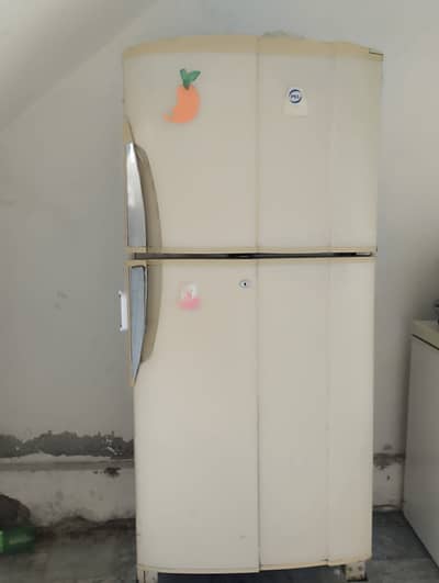 PEL Refrigerator