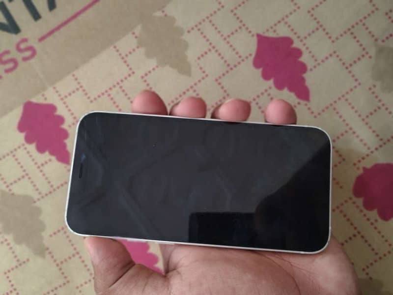 Apple iPhone 12 mini 3