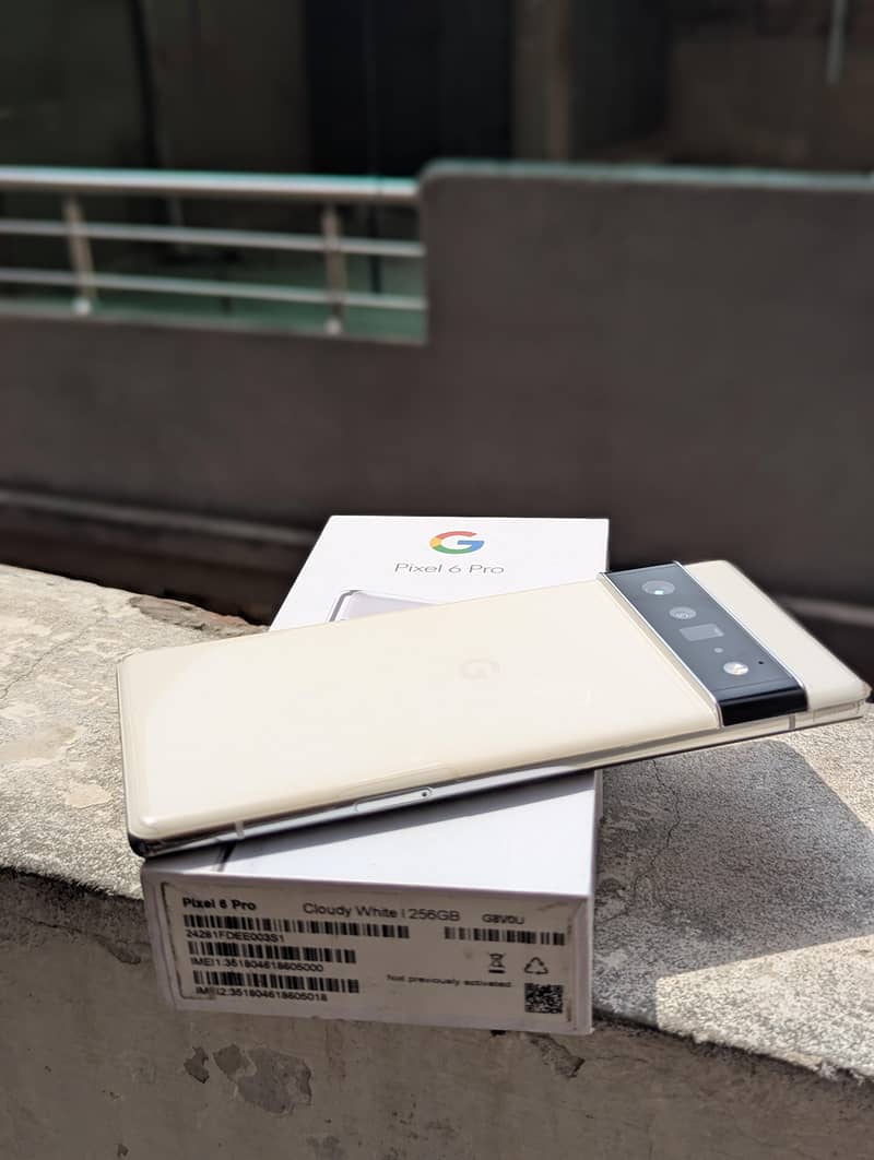 Google Pixel 6 Pro 2