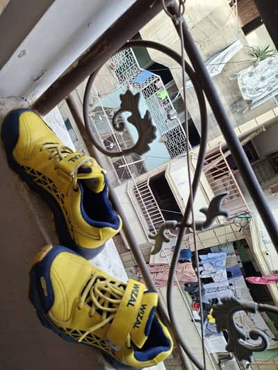 Wizel cricket shoes