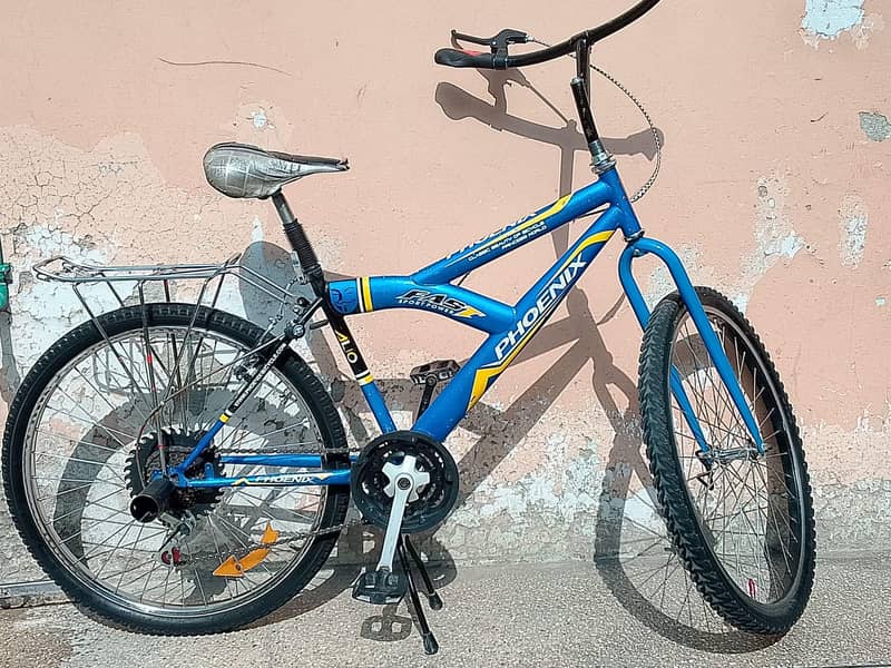 A Unique Bicycle 1