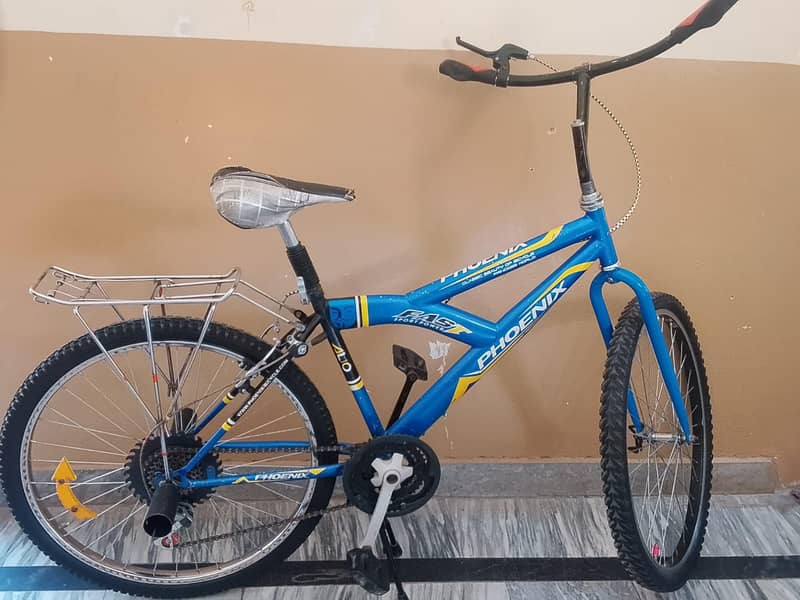 A Unique Bicycle 2