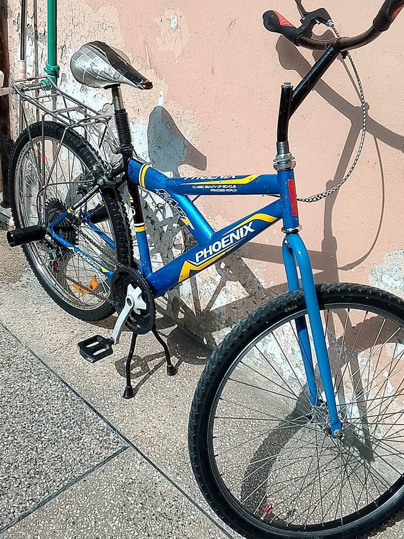 A Unique Bicycle 3