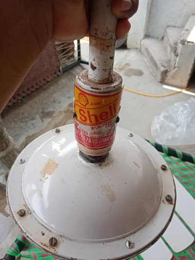 She'll Heavy Duty 56" Ceiling fan Cooper Motor