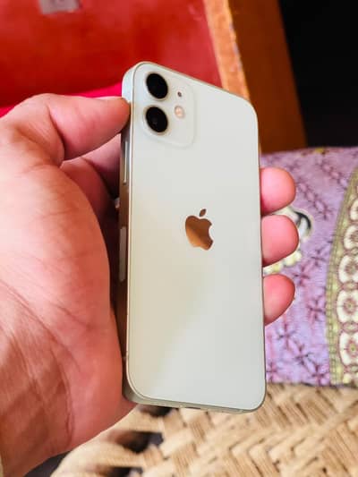 Apple iPhone 12 mini