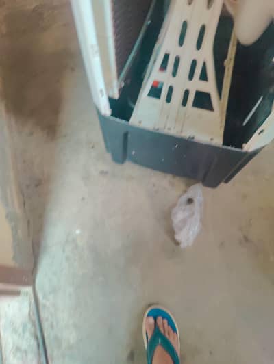 Air cooler