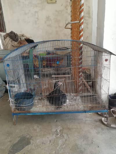 cage for sale big size
