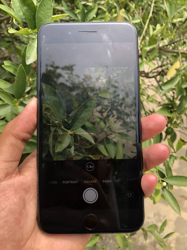 Apple iPhone 7 Plus 1