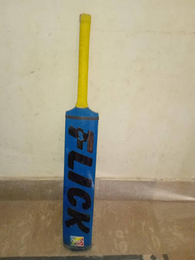 Amazing bat 1