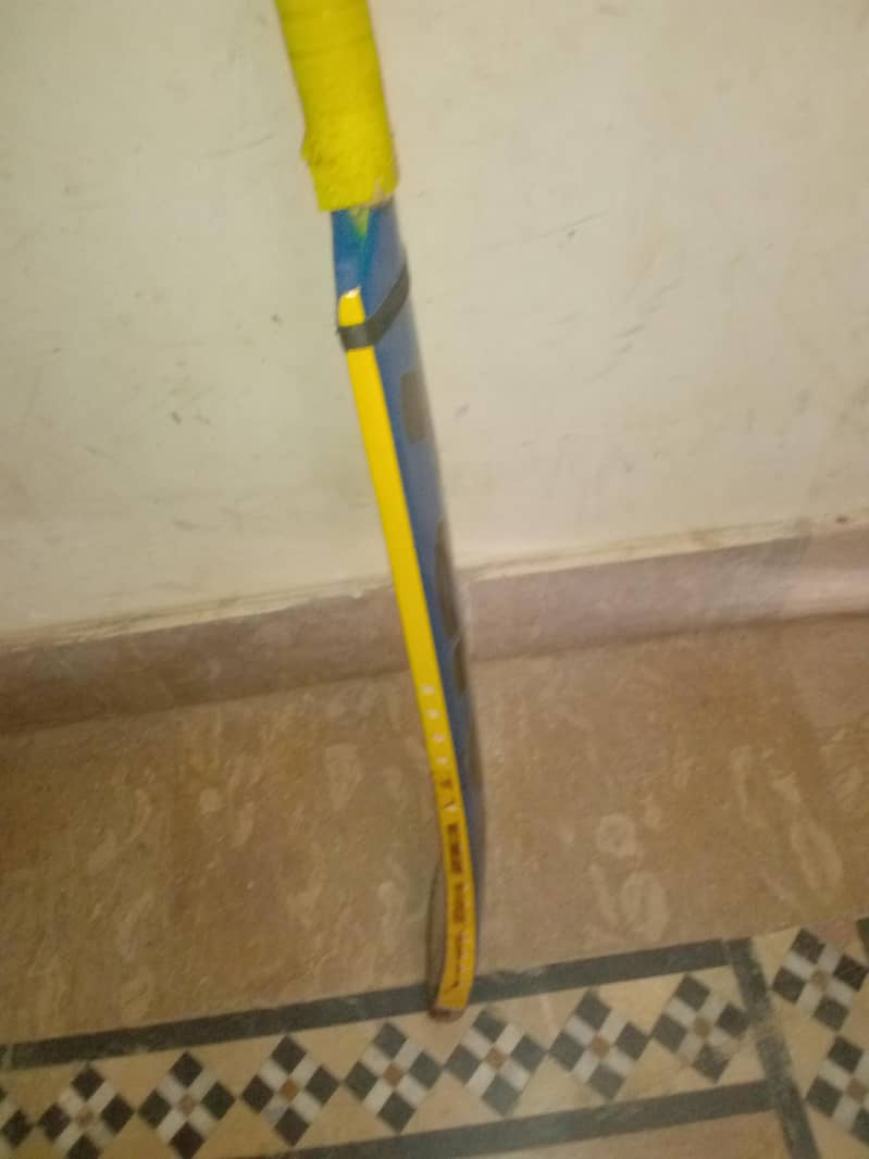 Amazing bat 2