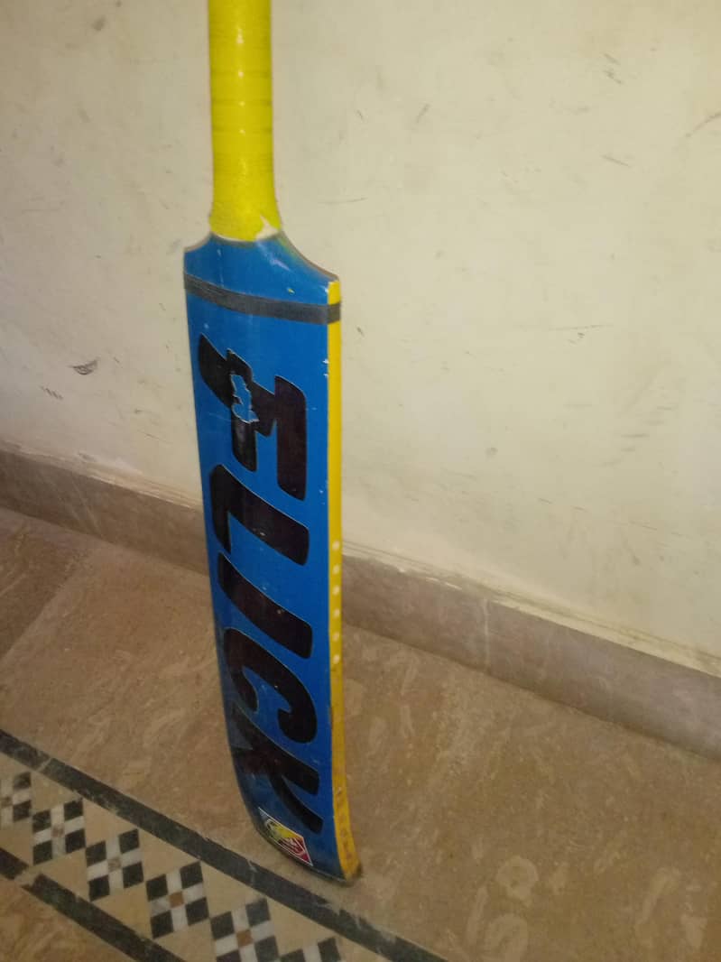 Amazing bat 3