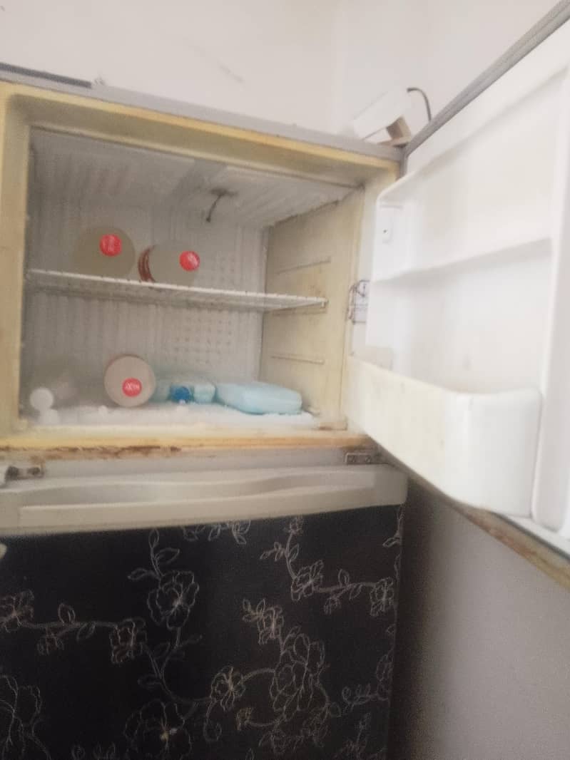 fridge 1