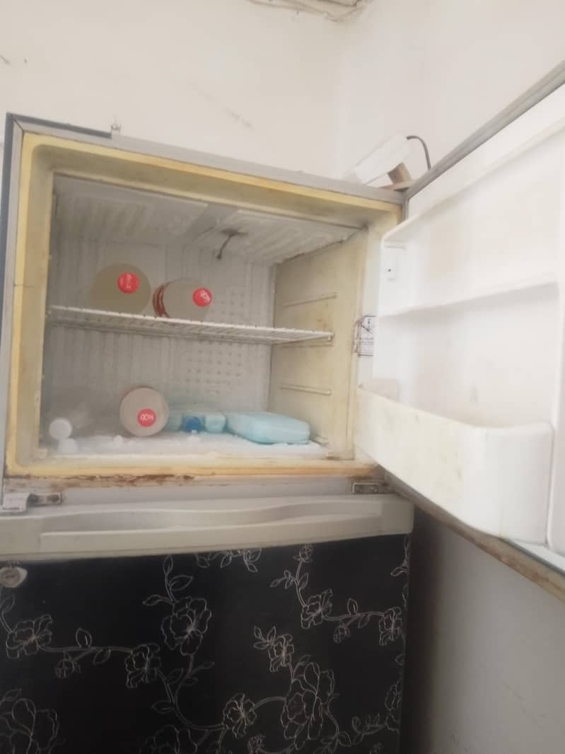 fridge 2