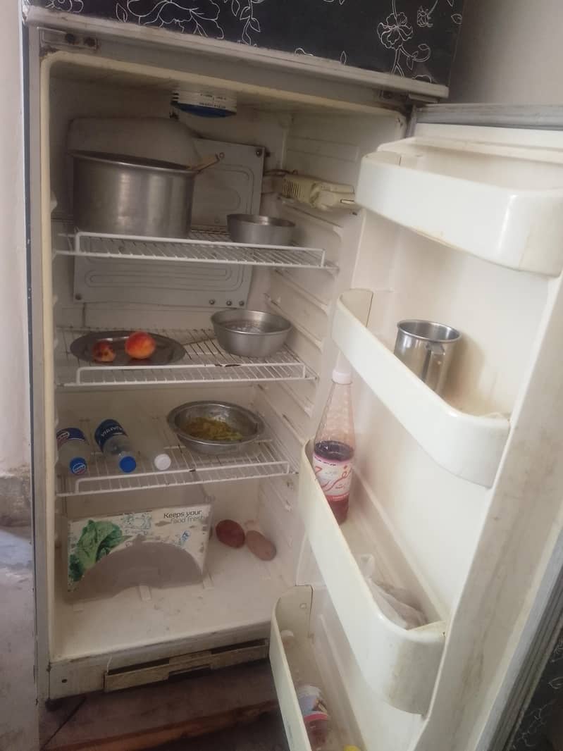 fridge 3
