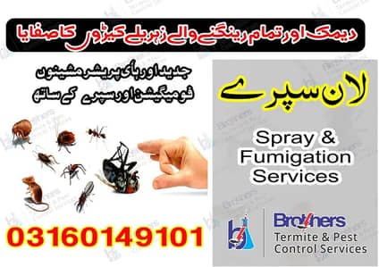 Pest Control/Termite Control/Fumigation Spray/Deemak Control Services