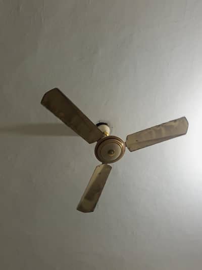 ceiling fan