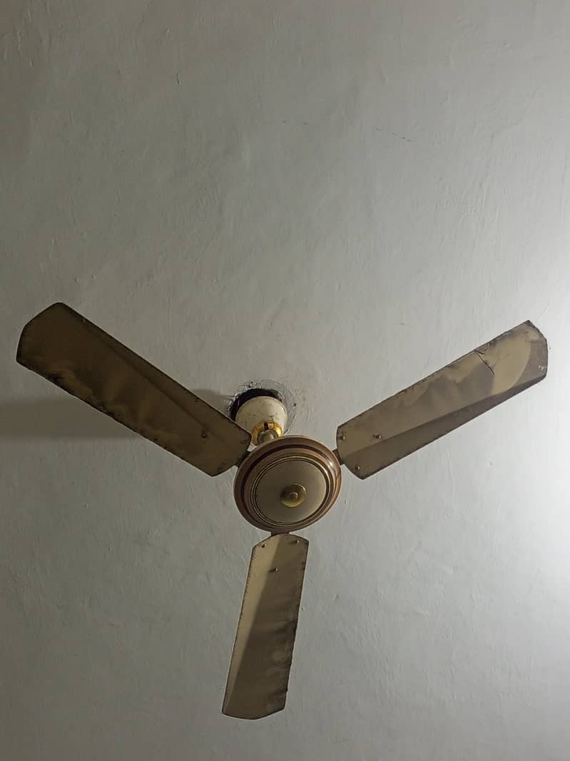 ceiling fan 1