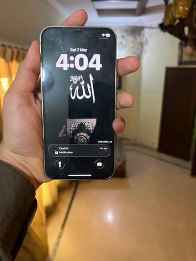 Apple iPhone 12 Pro
