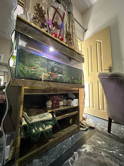 fish equriam sale