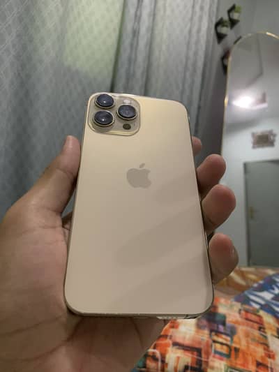 Apple iPhone 13 Pro Max