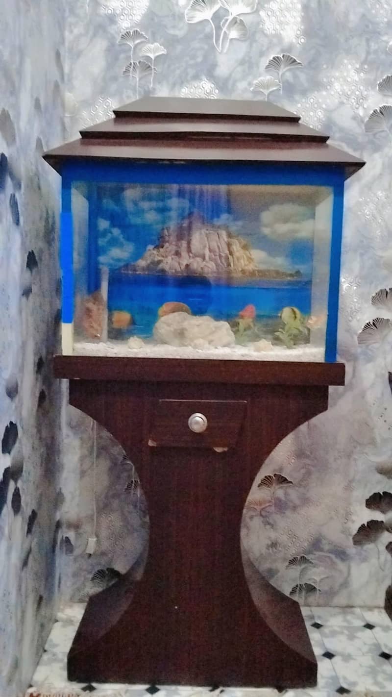 FISH  BOXPREMIUM 1